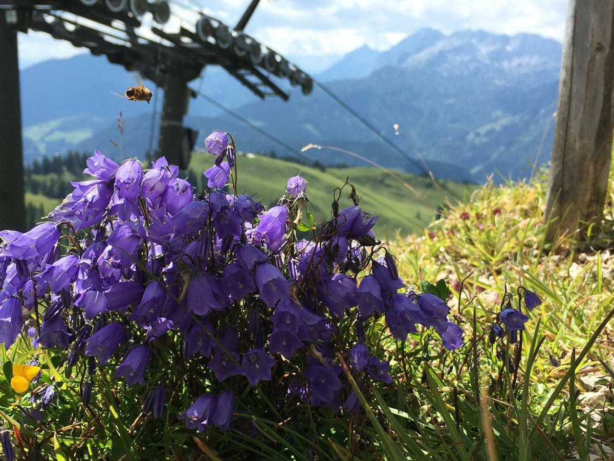 Ferienwohnung Kogelblick Gosau Buitenkant foto