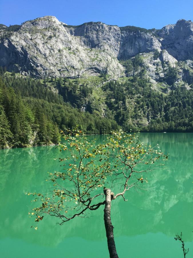 Ferienwohnung Kogelblick Gosau Buitenkant foto