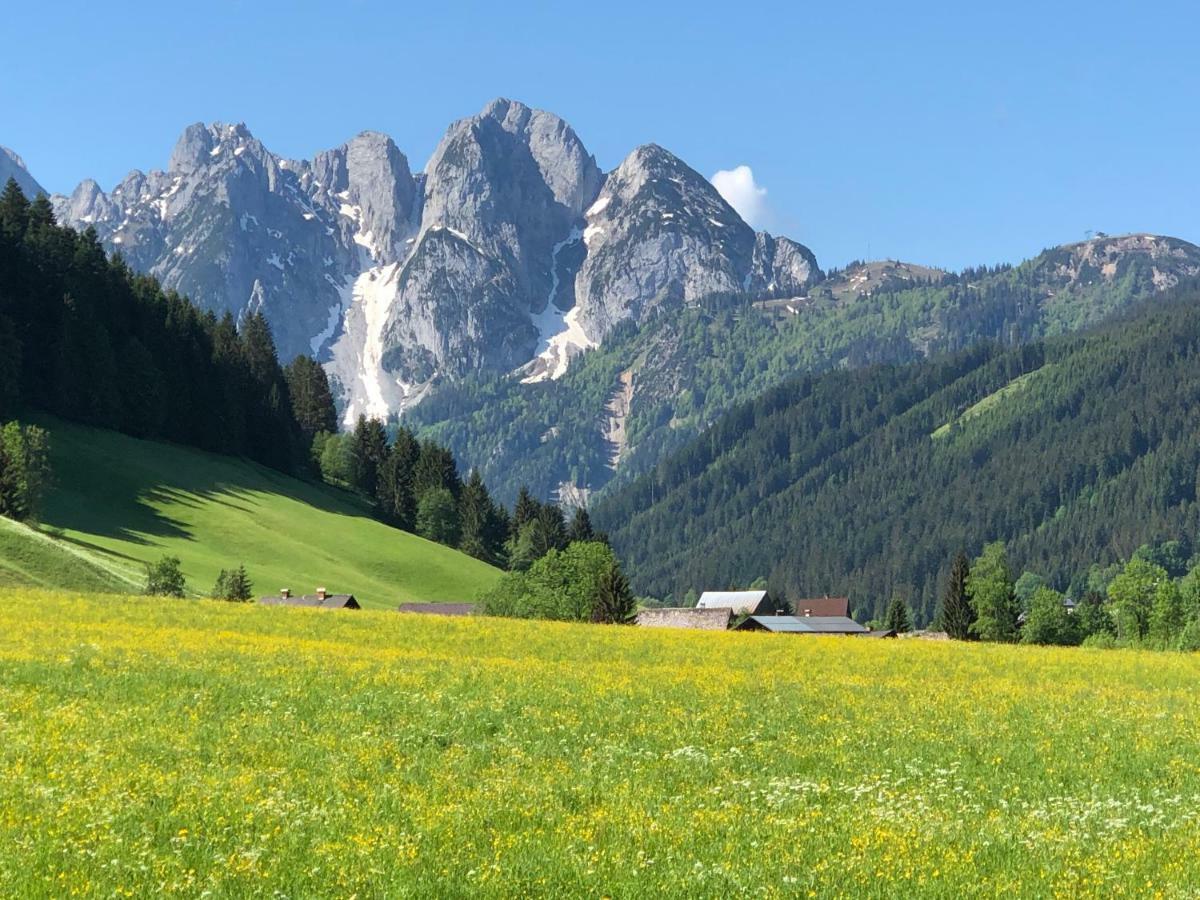 Ferienwohnung Kogelblick Gosau Buitenkant foto